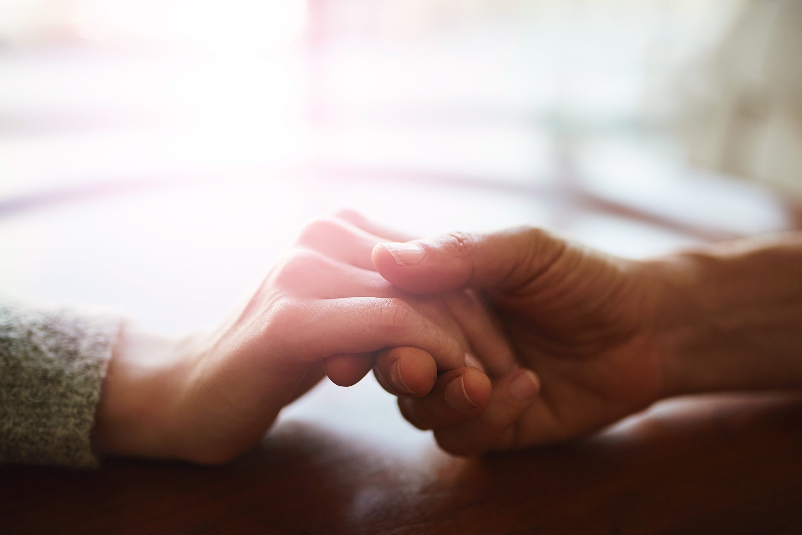 hands of support homeless programs talbot house